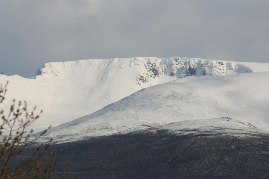 Aviemore Cottage - Cairngorms National Park المظهر الخارجي الصورة